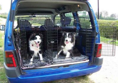 custom dog crates ford galaxy sussex