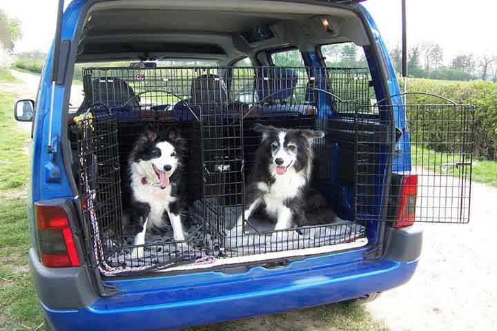 custom dog crates ford galaxy sussex