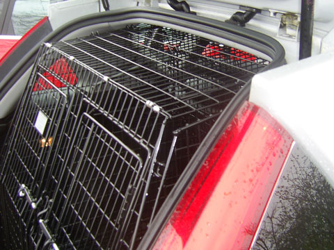 KIA Ceed Custom Dog Crates Chichester