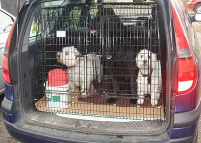 Renault Estate custom dog transporters Sussex